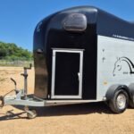 Occasion Van 2 places Gold 2 avec sellerie – Noir