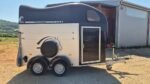 Occasion Van 2 places Gold 2 avec sellerie – Noir – Image 11